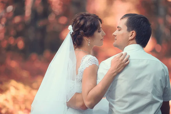 Wedding couple — Stock Photo, Image