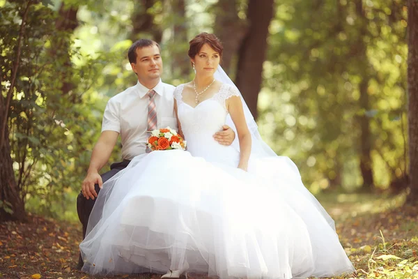 Casamento casal — Fotografia de Stock