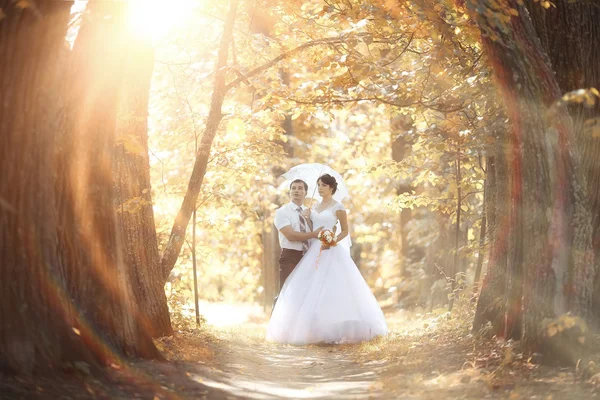 Pareja de boda — Foto de Stock