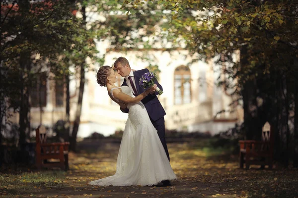 Matrimonio coppia — Foto Stock