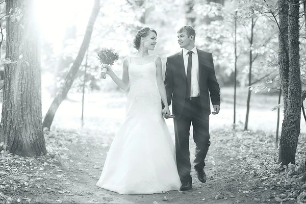 Wedding couple — Stock Photo, Image