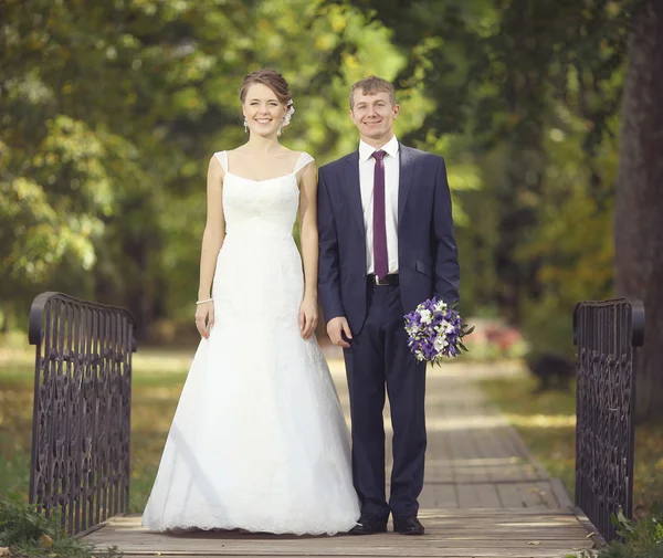 Wedding couple in park — Stock Photo, Image