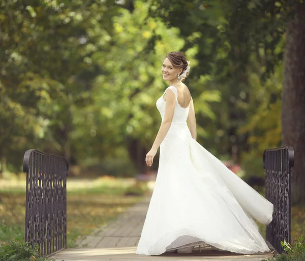 Невеста в парке — стоковое фото