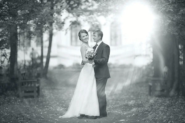 Para ślub — Zdjęcie stockowe