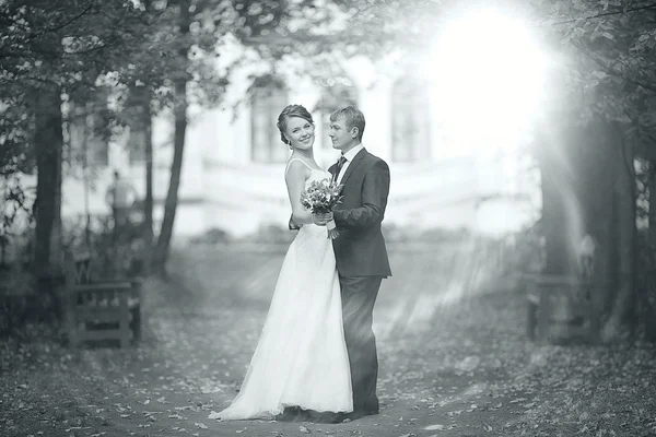 Pareja de boda — Foto de Stock