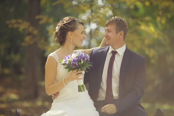 Wedding couple in park — Stock Photo, Image