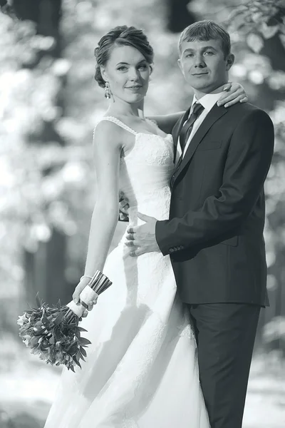 Wedding couple — Stock Photo, Image