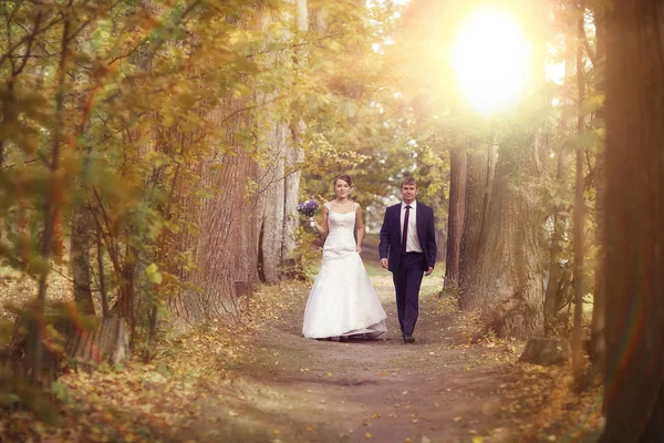 Wedding couple in park — Stock Photo, Image