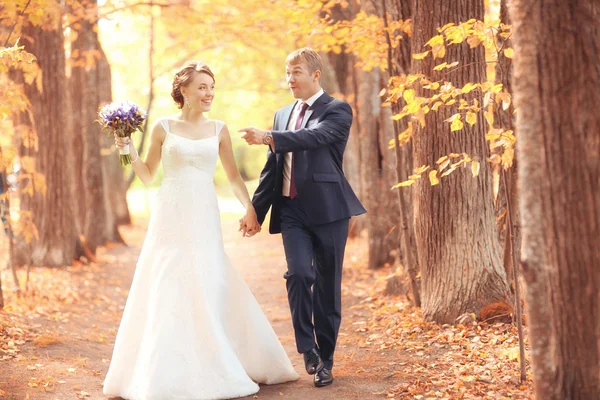 Wedding couple in park — Stock Photo, Image