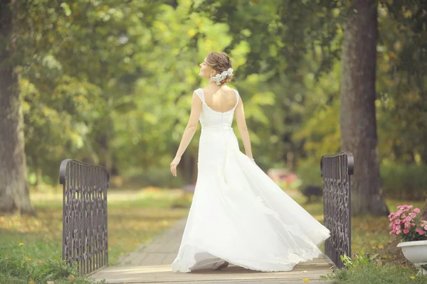 公園の花嫁 — ストック写真