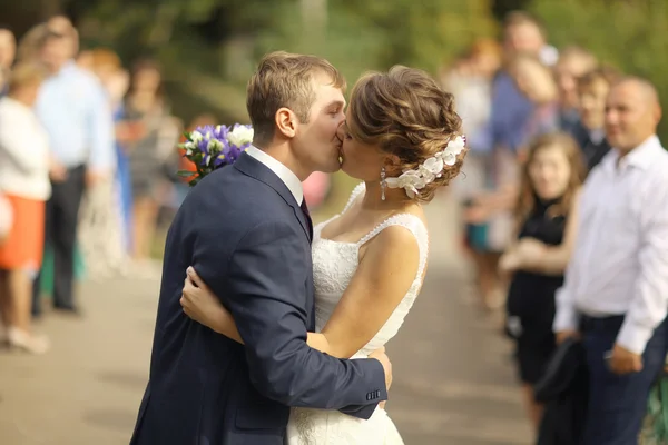 Pareja de boda — Foto de Stock