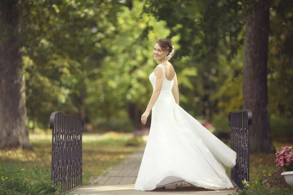 Bride in park — Stock Photo, Image