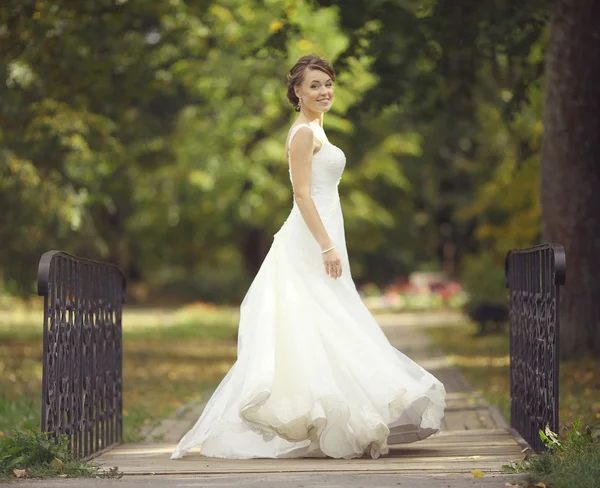 公園の花嫁 — ストック写真