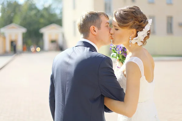 Pareja de boda — Foto de Stock