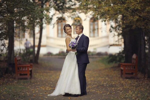 Pareja de boda — Foto de Stock