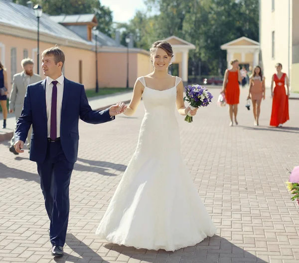 Pareja de boda — Foto de Stock