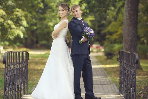 Casal de casamento no parque — Fotografia de Stock