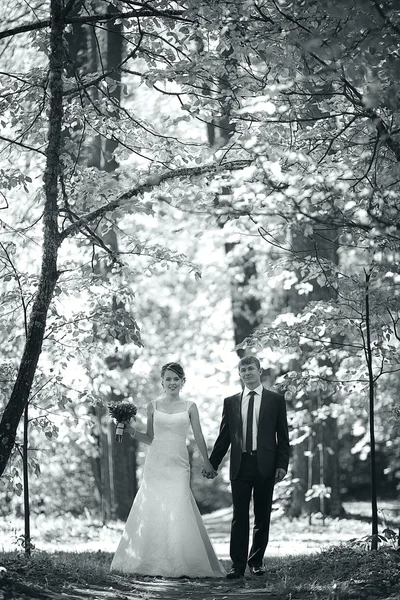 Wedding couple — Stock Photo, Image