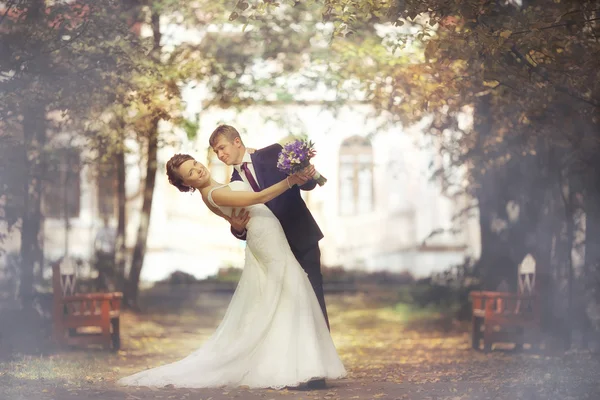 Pareja de boda — Foto de Stock