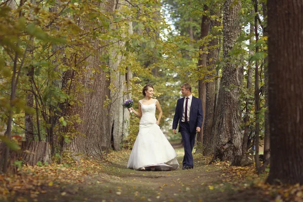 Wedding couple in park — Stock Photo, Image