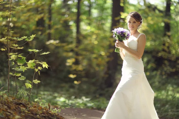 Bride in park — Stock Photo, Image