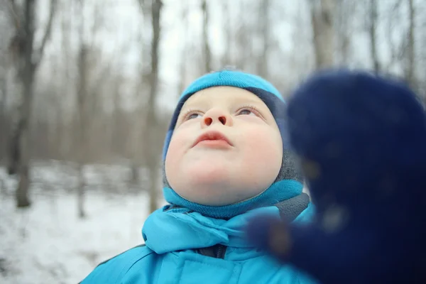 Pojken i skogen — Stockfoto