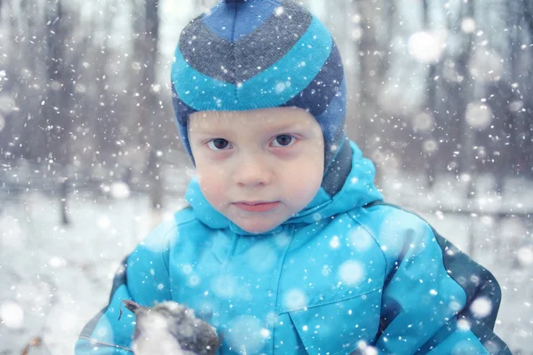 フォレスト内の少年 — ストック写真