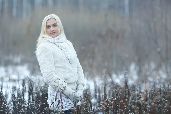 Meisje in de winter bos — Stockfoto