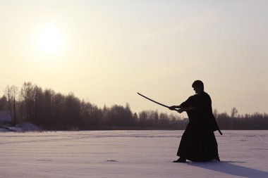 Japon ninja kış portresi