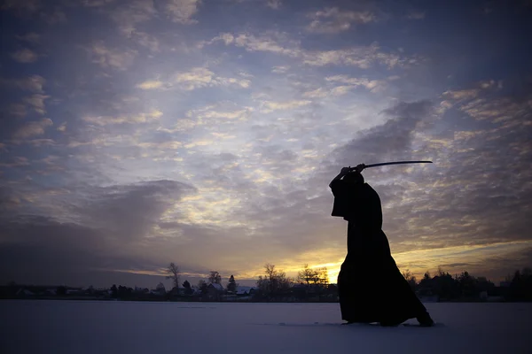 Japonés ninja invierno retrato — Foto de Stock