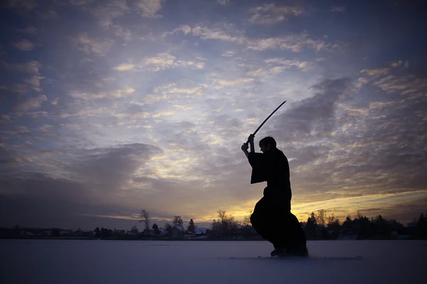 Japonés ninja invierno retrato — Foto de Stock