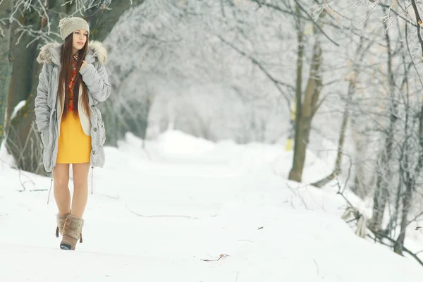 Télen gyönyörű lány — Stock Fotó