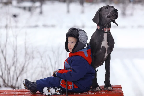 Little boy with  dog — Stock Photo, Image