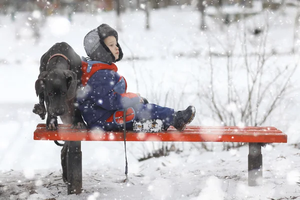 Liten pojke med hund — Stockfoto