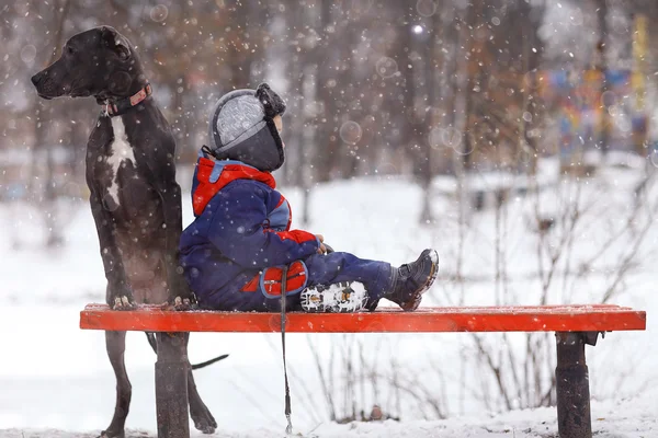 犬と少年 — ストック写真