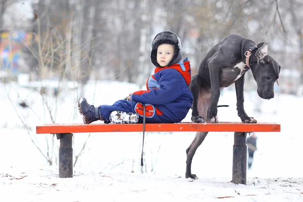 Malý kluk se psem — Stock fotografie