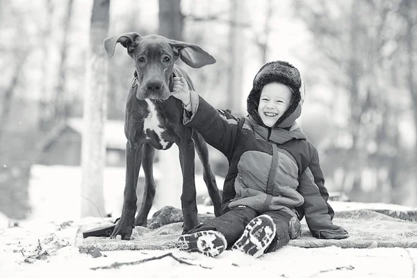 Niño con perro — Foto de Stock