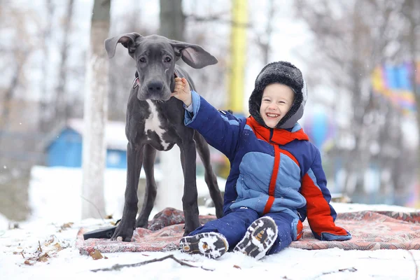 Liten pojke med hund — Stockfoto