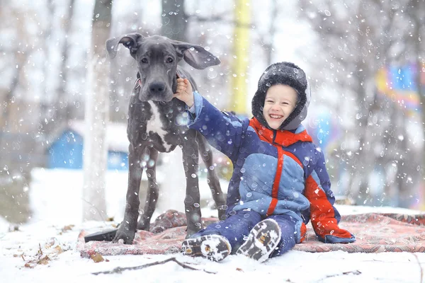 Menino com cão — Fotografia de Stock