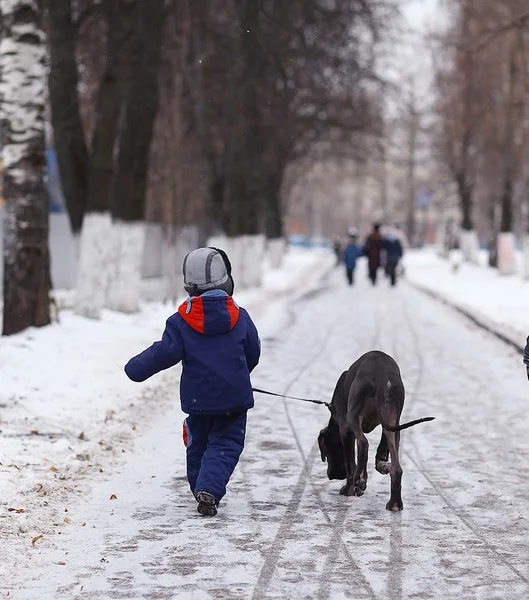 Kleiner Junge mit Hund im Winter — Stockfoto