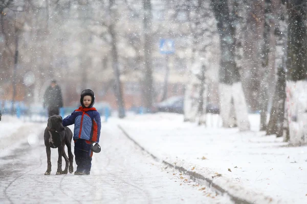 Little boy   with dog in winter — Stock Photo, Image