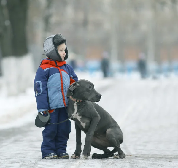 Liten pojke med hund på vintern — Stockfoto