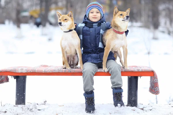 Little boy and two dogs in winter — Stock Photo, Image