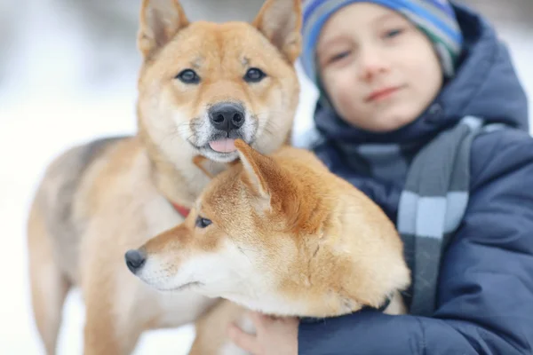 Little boy and two dogs in winter — Stock Photo, Image