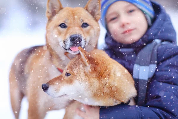 Little boy and two dogs in winter — Stock Photo, Image