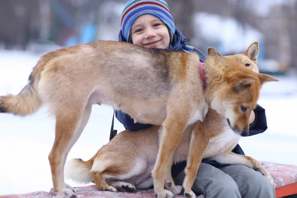 Mały chłopiec i dwa psy zimą — Zdjęcie stockowe