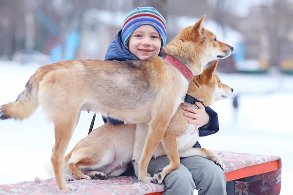 Little boy and two dogs in winter — Stock Photo, Image