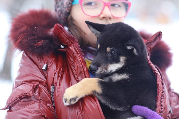 Dívka a štěně v zimě — Stock fotografie