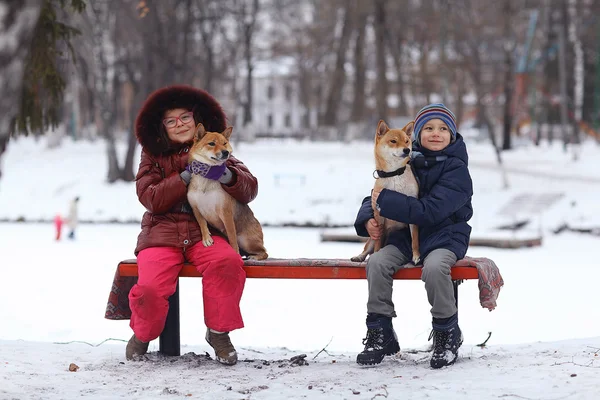 Girl and boy with dogs — Stock Photo, Image