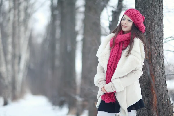 Young beautiful girl in winter forest — Stock Photo, Image